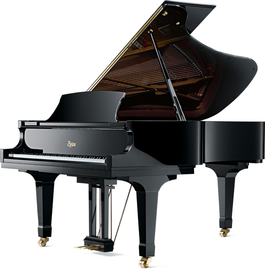 Boston GP-215 PE